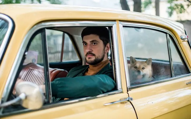 Funda de asiento para el coche para viajar - La Tienda del Viajero CholloTravel